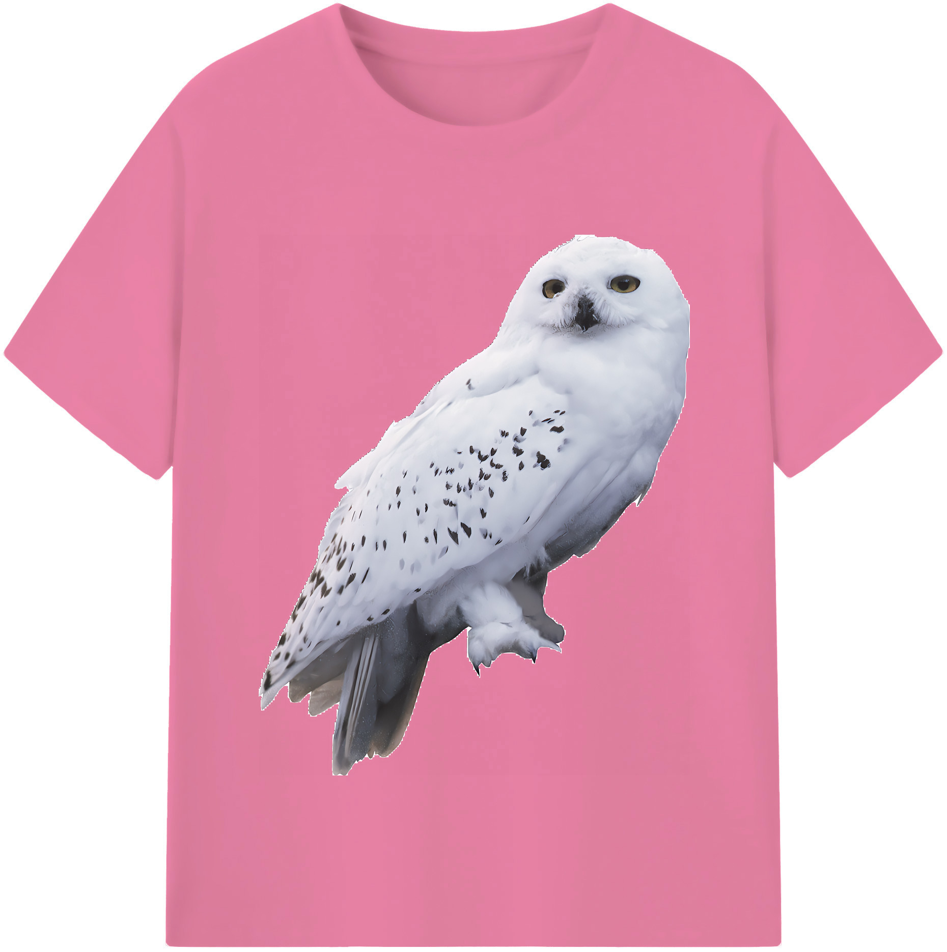 （画像用） Harry Potter ハリー・ポッターシリーズ 綿100％半袖Tシャツ（フロントプリント）